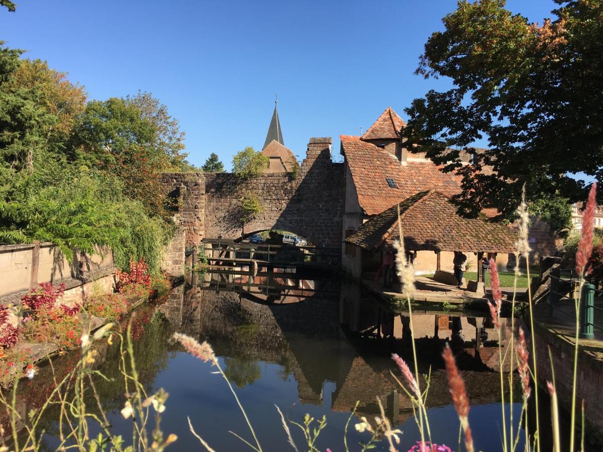 Ferienwohnung Am Waldrand Lemberg Bagian luar foto